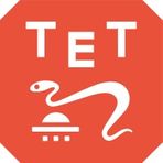 Tet Ventures logo